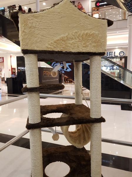 Imagem 1 da galeria do anúncio: alugo quarto