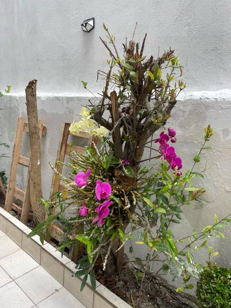 Imagem 9 da galeria do anúncio: Quarto completo em casa mobiliada em ótima localização