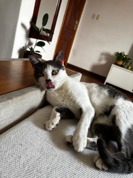 Imagem 2 da galeria do anúncio: aluguel de quarto no meier