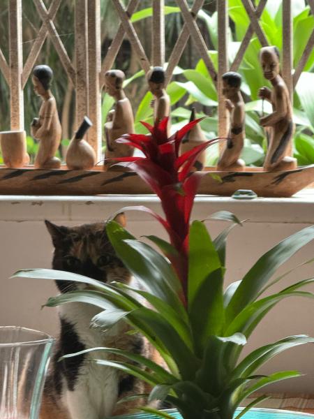 Imagem 4 da galeria do anúncio: Aluguel de quarto