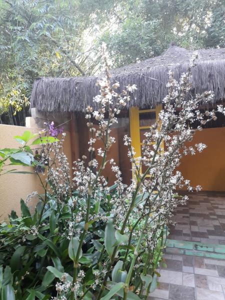 Imagem 4 da galeria do anúncio: Casa Laranja.