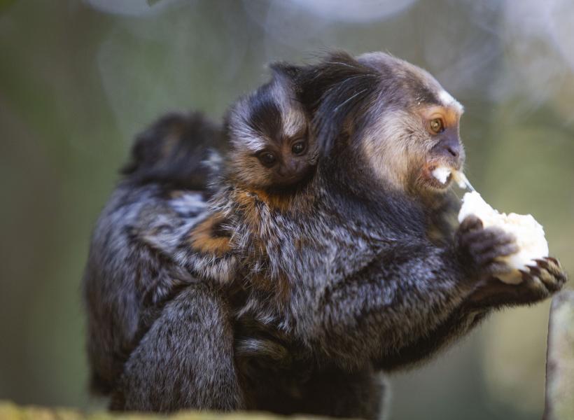Imagem 12 da galeria do anúncio: Casa Laranja.