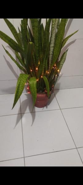 Imagem 3 da galeria do anúncio: Alugo suite em minha casa mobiliado por temporada.