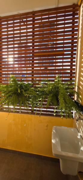 Imagem 9 da galeria do anúncio: Temporada