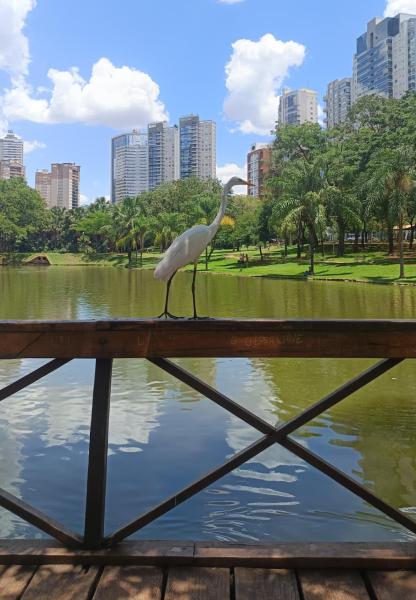 Imagem 6 da galeria do anúncio: QUARTO PRIVADO PARA MULHER