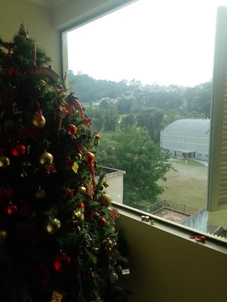 Imagem 9 da galeria do anúncio: suite no horto florestal