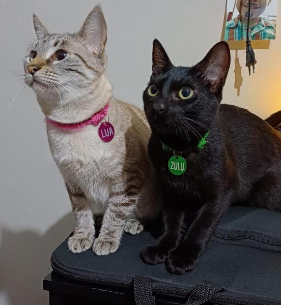 Imagem 6 da galeria do anúncio: Alugo Quarto no Rocha – Próx. Metrô