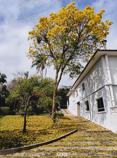 Imagem 1 da galeria do anúncio: Casa com suítes individuais e banheiro privativo