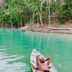 profile-image