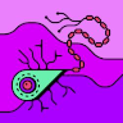 profile-image